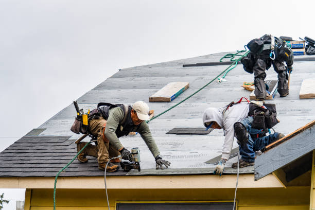 Professional Storm Damage Roof Repair technician working in Guys Mills, PA